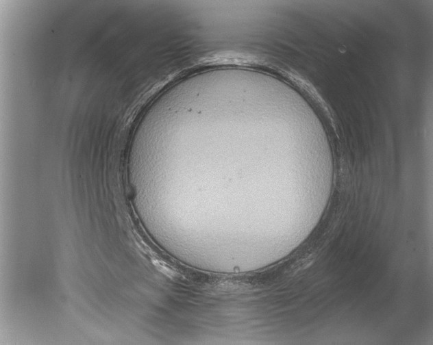 X0000080740529200701021149