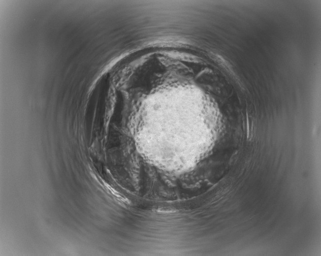 X0000080740531200701021149