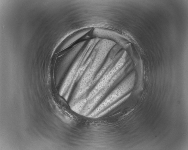 X0000080740532200701021149