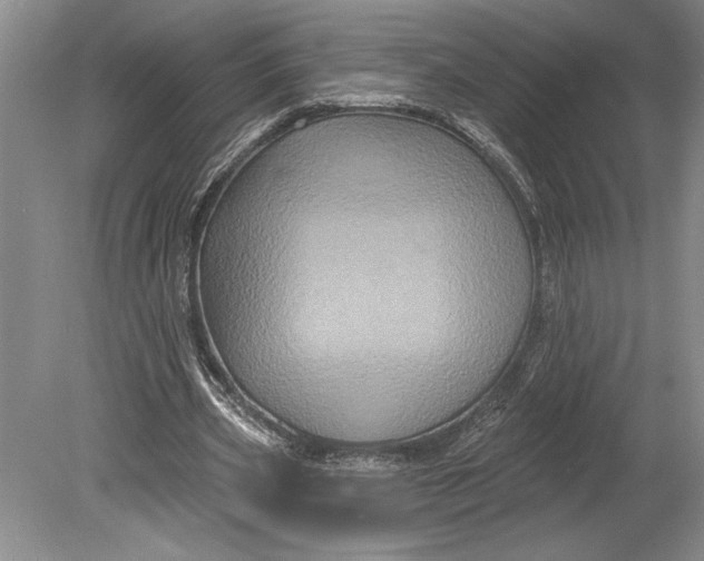 X0000080740533200701021149