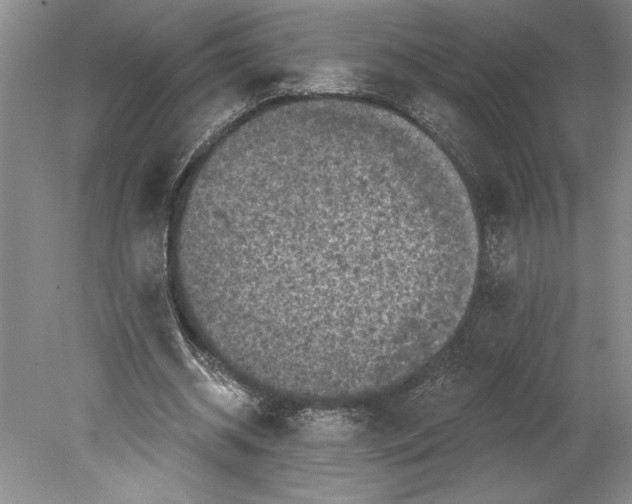 X0000080740534200701021149