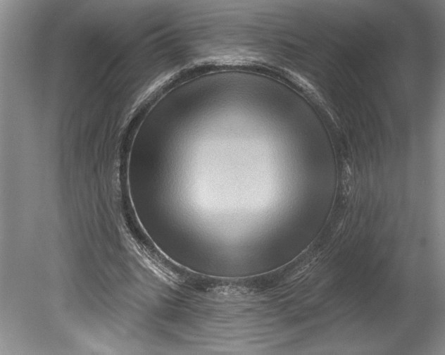 X0000080740535200701021149