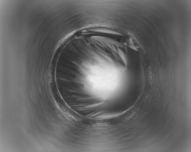 X0000080740536200701021149