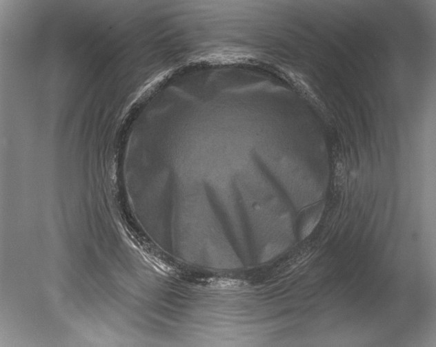 X0000080740539200701021149