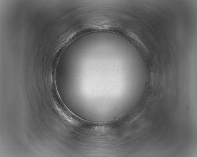 X0000080740541200701021149