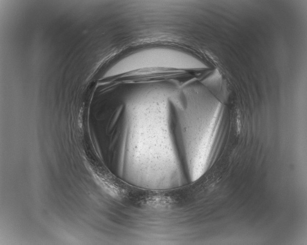 X0000080740543200701021149