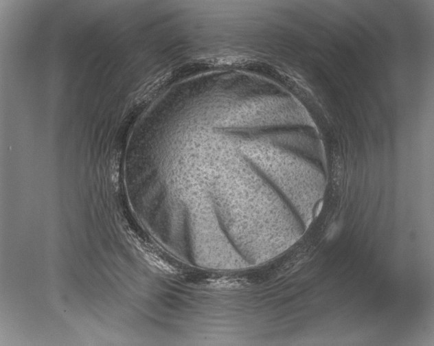 X0000080740545200701021149