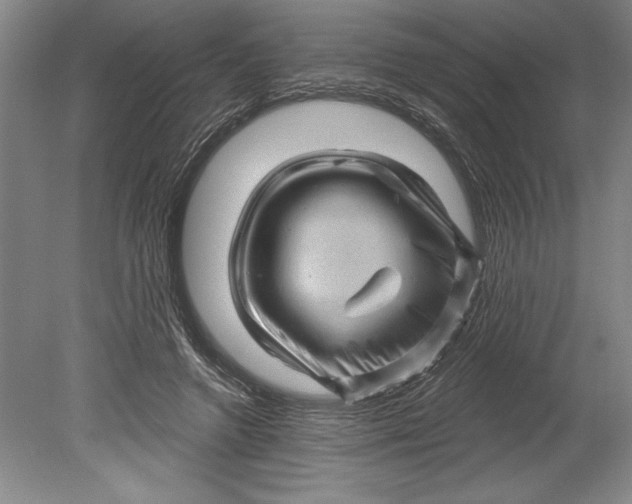 X0000080740546200701021149