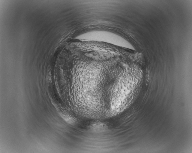 X0000080740547200701021149