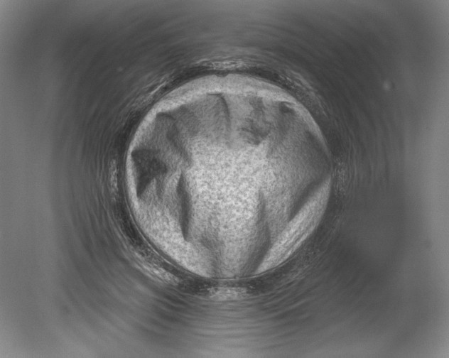 X0000080740549200701021149