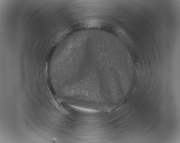 X0000080740550200701021149