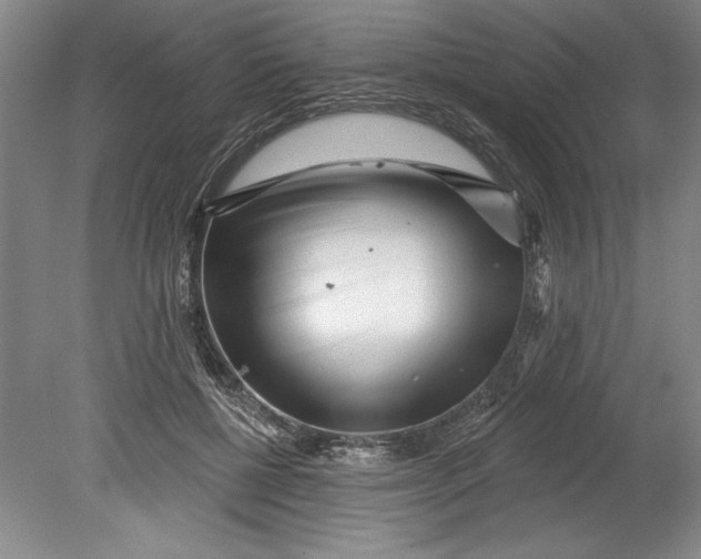 X0000080740552200701021149