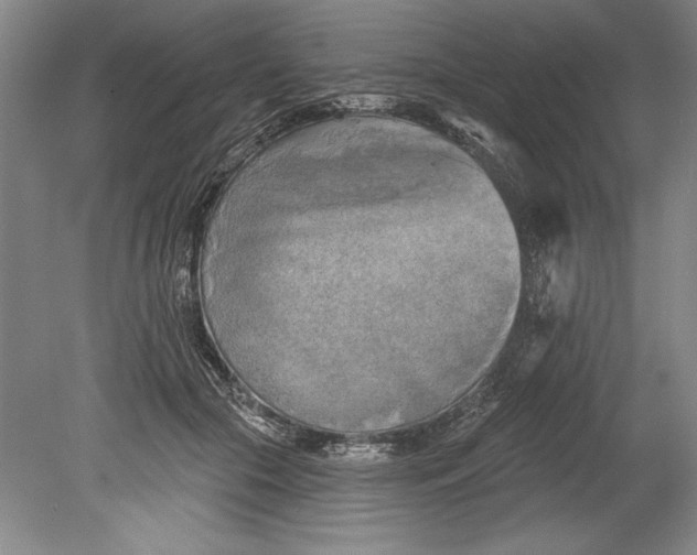 X0000080740553200701021149