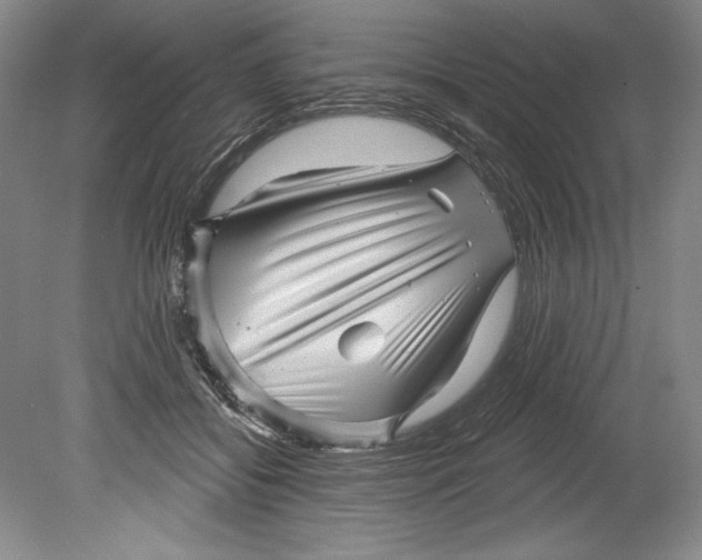 X0000080740556200701021149