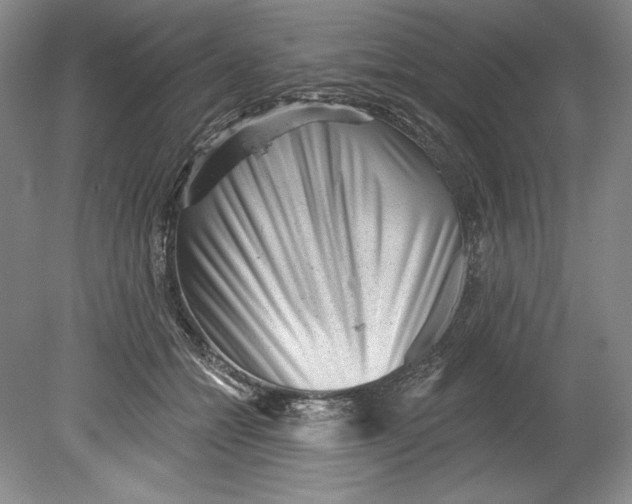 X0000080740558200701021149