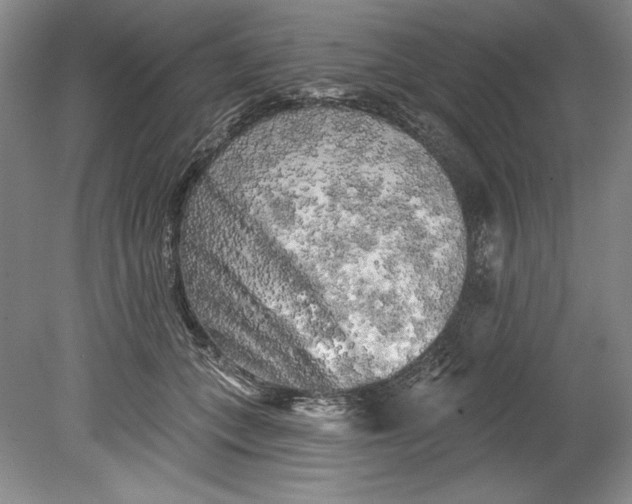 X0000080740559200701021149