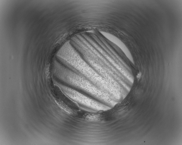 X0000080740560200701021149