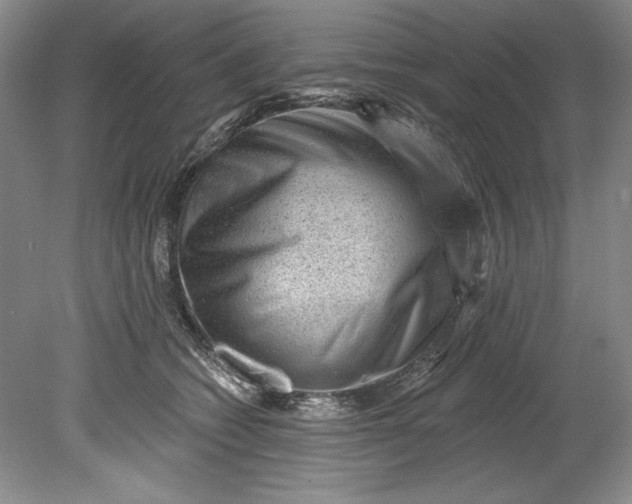 X0000080740562200701021149