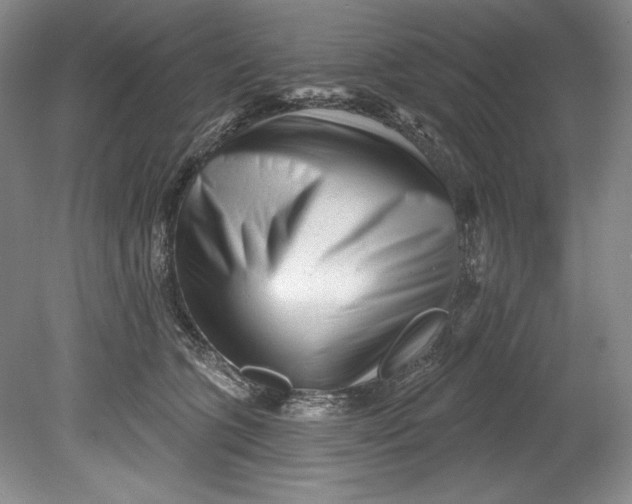 X0000080740563200701021149