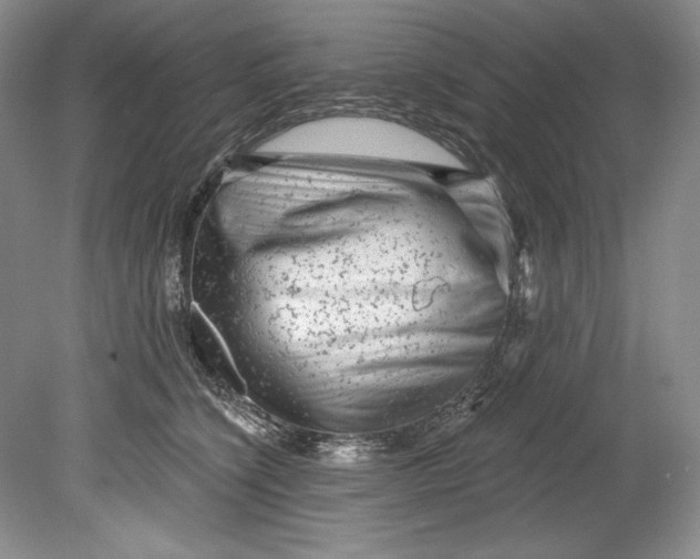 X0000080740564200701021149