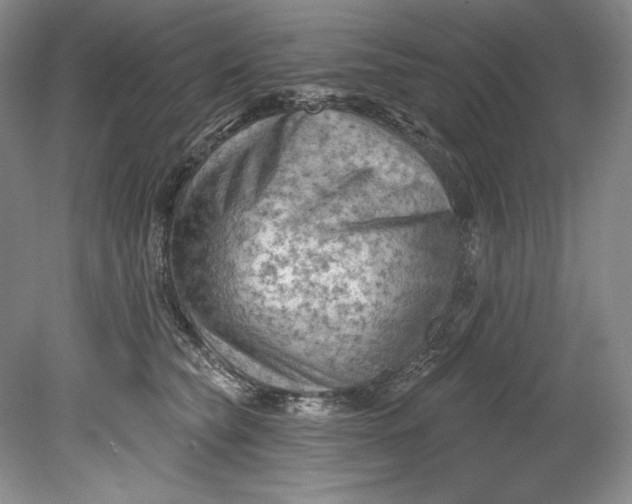 X0000080740565200701021150