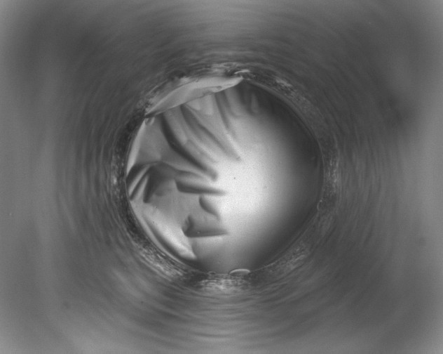 X0000080740567200701021150