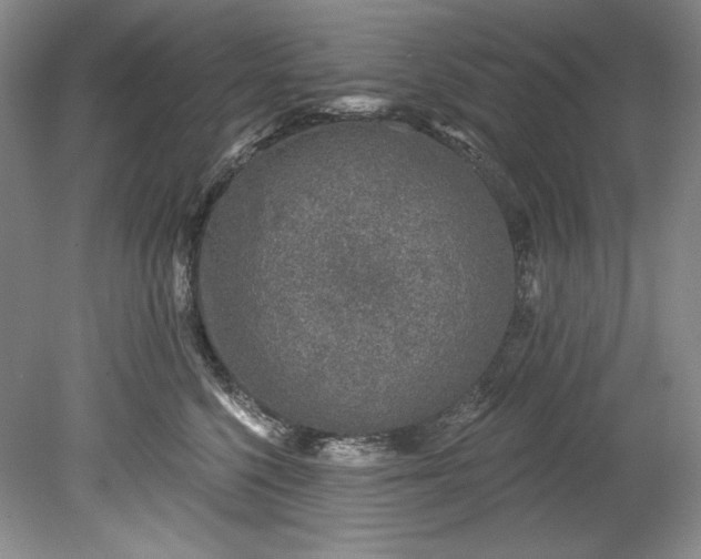 X0000080740568200701021150