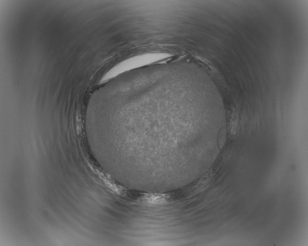 X0000080740569200701021150