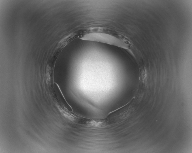 X0000080740570200701021150