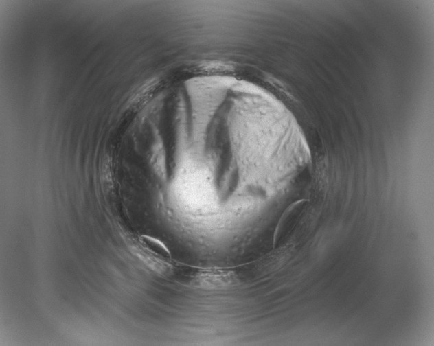 X0000080740571200701021150