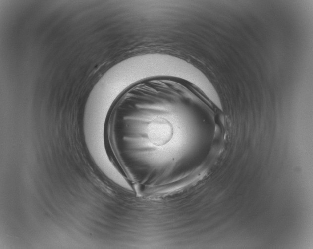 X0000080740572200701021150