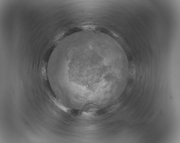 X0000080740573200701021150