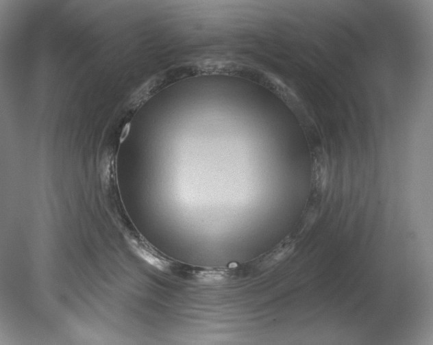 X0000080740574200701021150