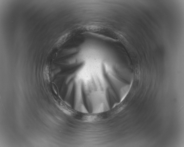 X0000080740575200701021150