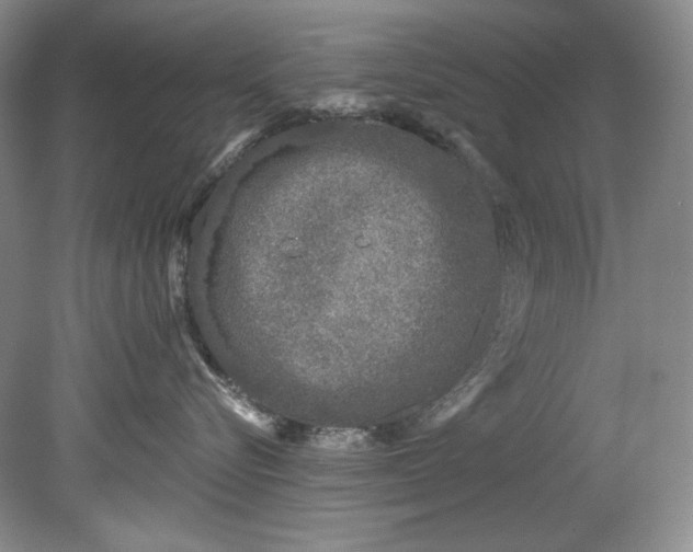 X0000080740576200701021150