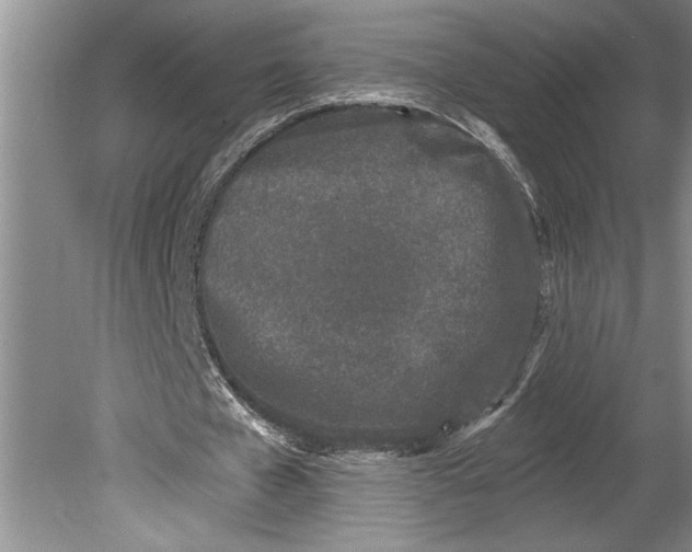 X0000080740577200701021149