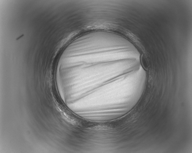 X0000080740578200701021149