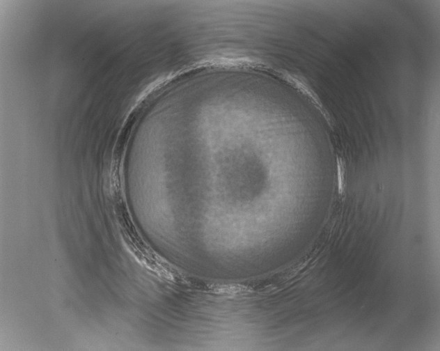 X0000080740579200701021149