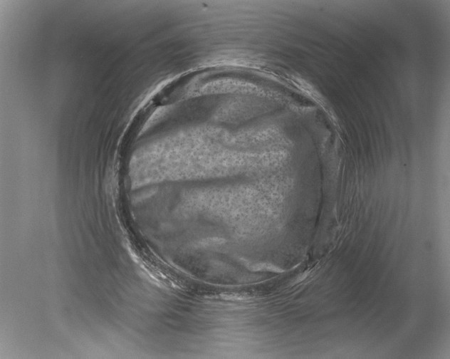 X0000080740580200701021149