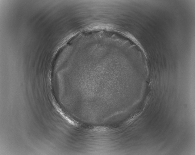 X0000080740581200701021149