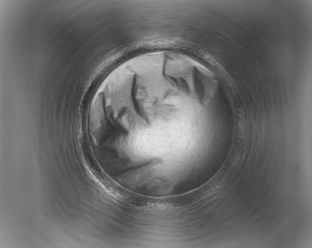 X0000080740582200701021149