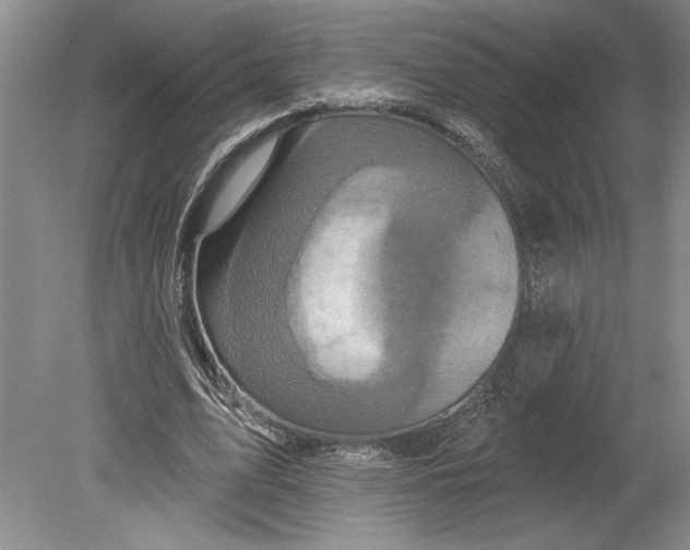 X0000080740583200701021149