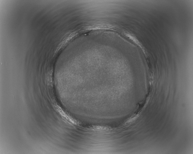 X0000080740585200701021149