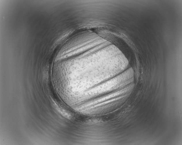 X0000080740586200701021149