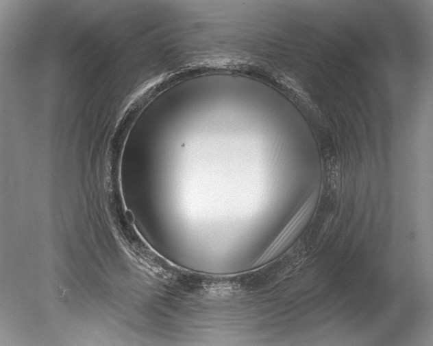 X0000080740587200701021149