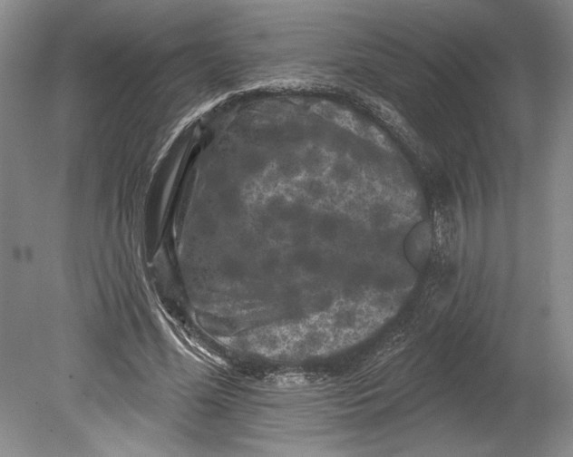 X0000080740588200701021149