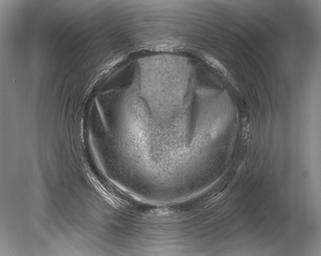 X0000080740589200701021149