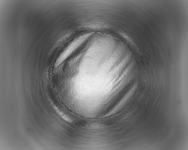 X0000080740590200701021149