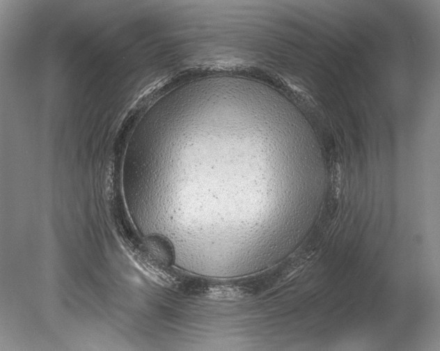 X0000080740591200701021149