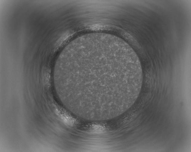 X0000080740592200701021149